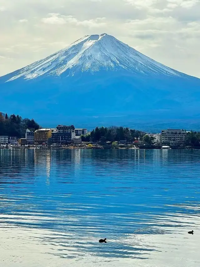 3일 만에 일본 완전 정복! 초특급 자세한 여행 가이드