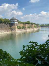 日本8日遊｜清明賞花不容錯過的路線