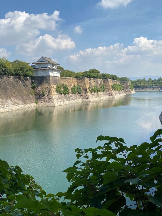 日本8日遊｜清明賞花不容錯過的路線