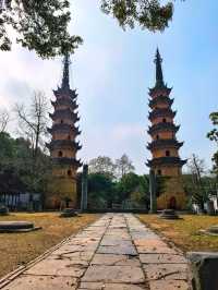 玉蘭映雙塔，春色落滿園。