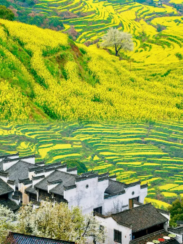 A Look Back at Nine Stunning Spots I Visited in 2025, Even More Beautiful Than Abroad!