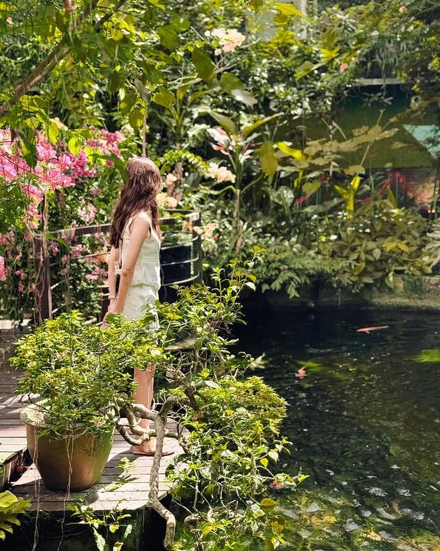 檳城蝴蝶公園—夢幻蝴蝶王國