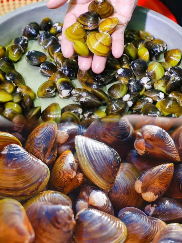 鮮鮮鮮！甜甜甜！想食頂級黃沙蜆就要嚟呢度！