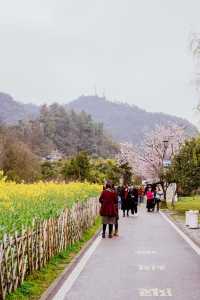 地鐵直達春日 | 在十里河灘的油菜花海裡騎行追風。