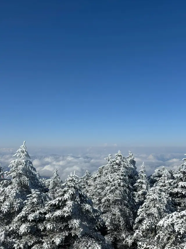 3-Day Qingming Festival Trip to Mount Emei: Feast Your Eyes on the Beauty