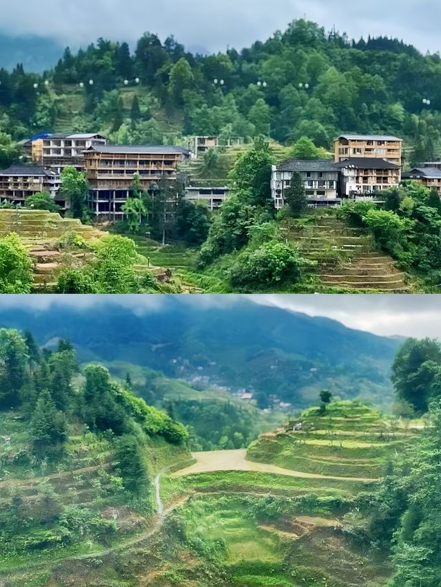龍脊梯田遊玩攻略，看這一篇就夠啦