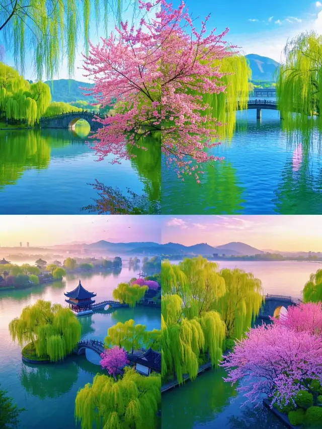 西湖的春天真的來了「春如線」的具象化