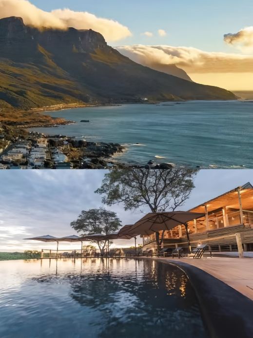 Discover Port Elizabeth: A Coastal and Natural Feast