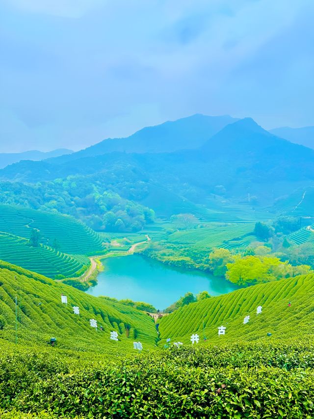 杭州Team Building｜3-6月春日限定Team Building方案！