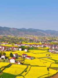 三月漢中油菜花封神！闖入了金色童話世界