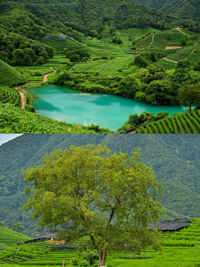 杭州旅遊後勁太大了，聽聽我的真實感受