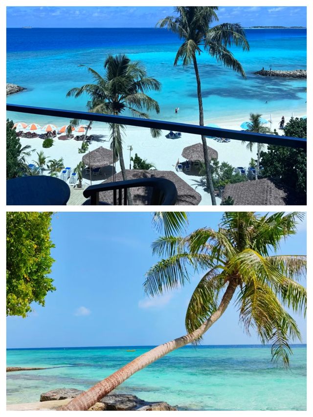 馬富士島：馬爾代夫的夢幻之島，開啟極致海島度假之旅