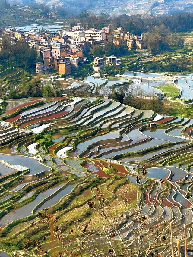 3日小長假 紅河必備攻略