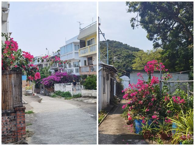 香港離島遠足—南丫島環島遊