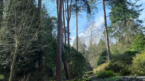 Phù thủy xứ Oz ẩn náu ở Crawley — traveler post in Crawley