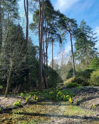 ซ่อนตัวอยู่ในมนต์เสน่ห์แห่งโครว์ลีย์