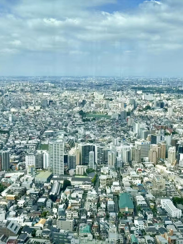 雲端視界：東京都廳觀景台的城市詩篇
