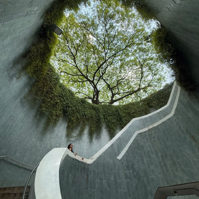 🇸🇬探秘新加坡 | 福康寧公園樹洞，藏在都市裡的綠野仙蹤