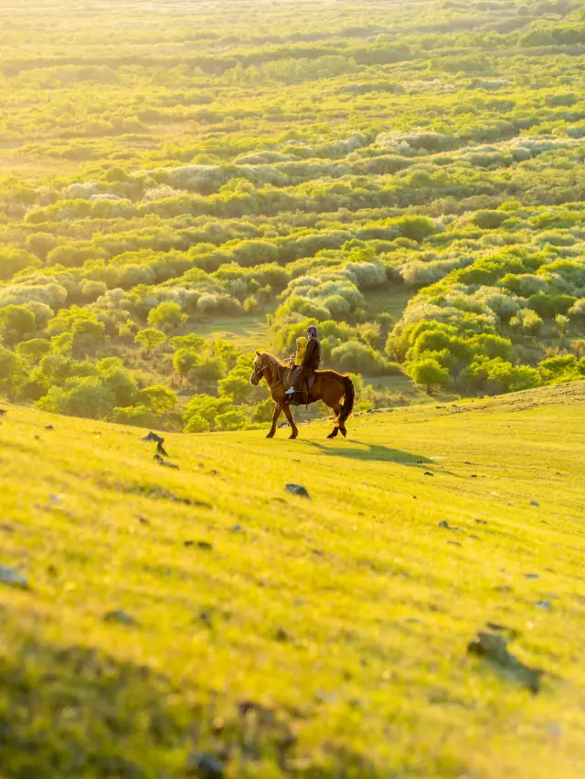 呼倫貝爾，治癒心靈的草原之旅！