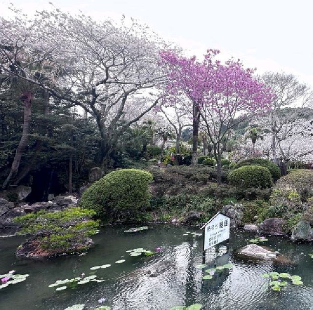如意輪寺與別府奇景