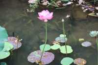靈山小鎮拈花灣 | 禪意生活的理想藍本，沉浸式體驗東方美學