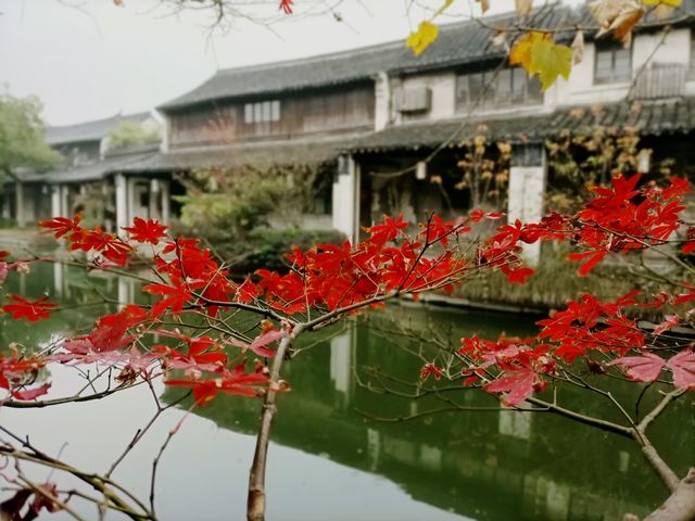 這個低調的南方古鎮你來過嗎？