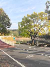 終於弄清楚建德怎麼玩