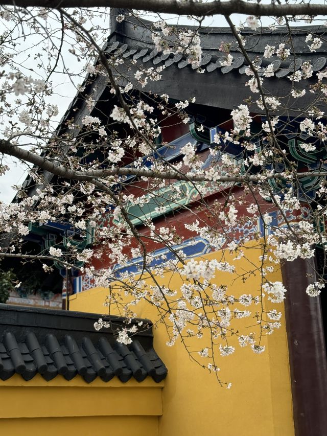 一键重啟·夢回三國名場面    保姆級攻略來啦
