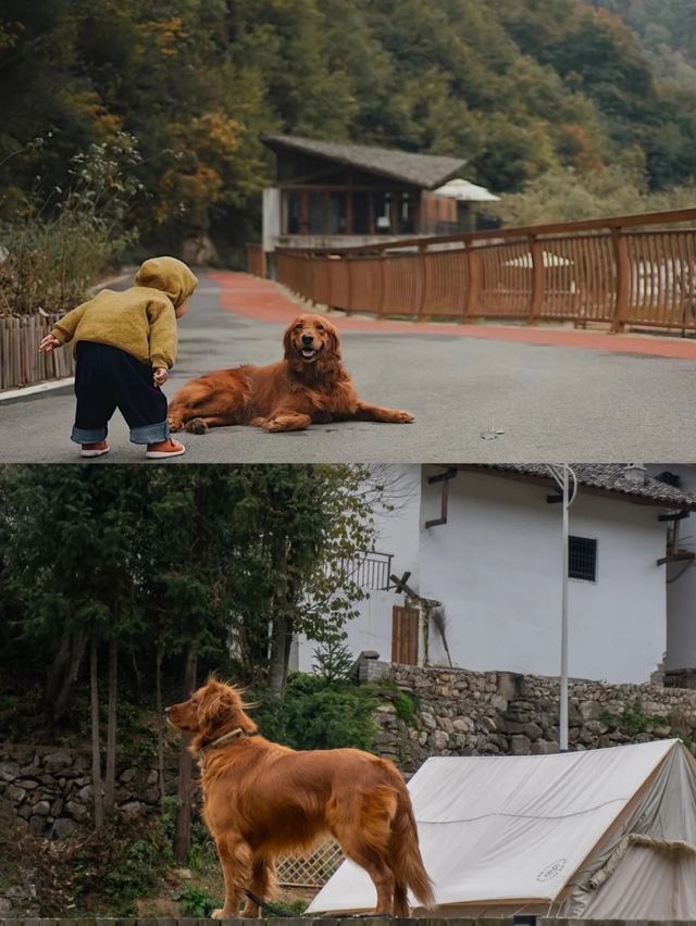 五一假期陽泉市自駕陝南全攻略