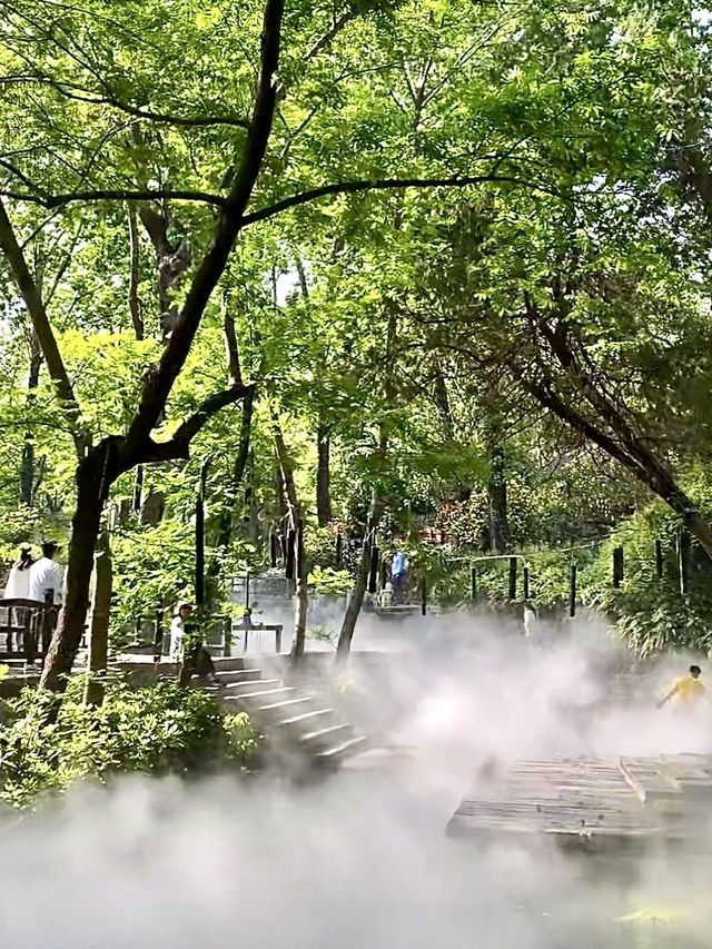 臨沂！被嚴重低估的小眾神仙景區太絕了