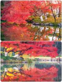 杭州小眾去處，秋景打卡地大揭秘