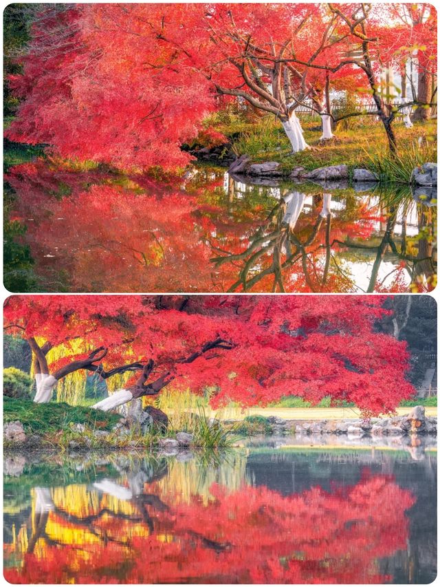 杭州小眾去處，秋景打卡地大揭秘