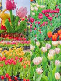 北陵公園：一座皇陵嘅日常美學