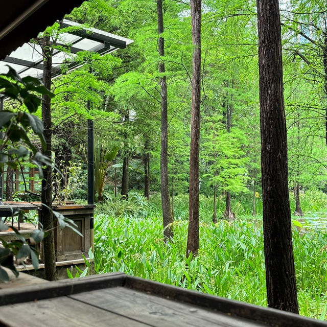 廣州最愛之地｜珠江公園 走進綠色森林🌳