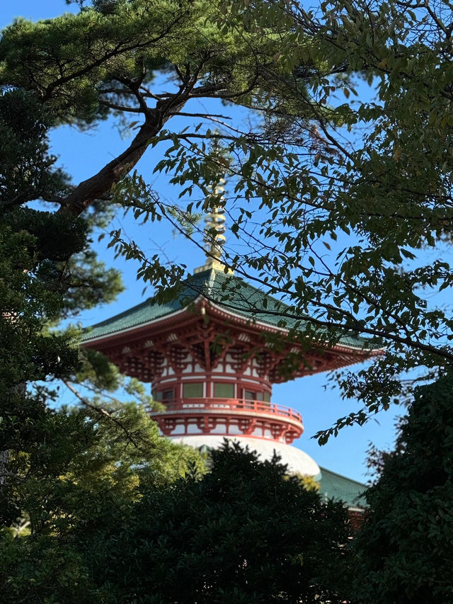 成田機場轉機必打卡！週邊古寺探秘✨