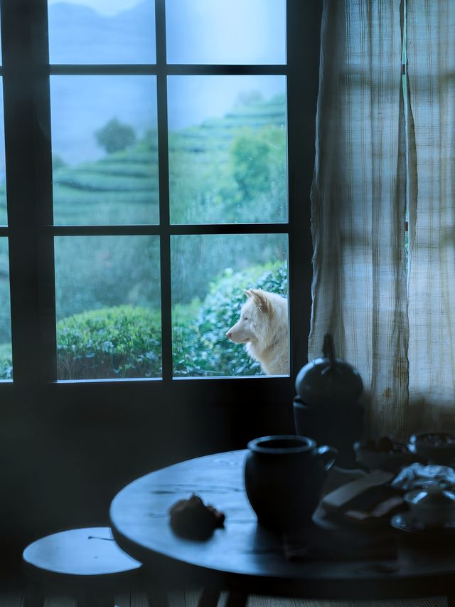 第一次去武夷山3天2晚嘅詳細旅行攻略