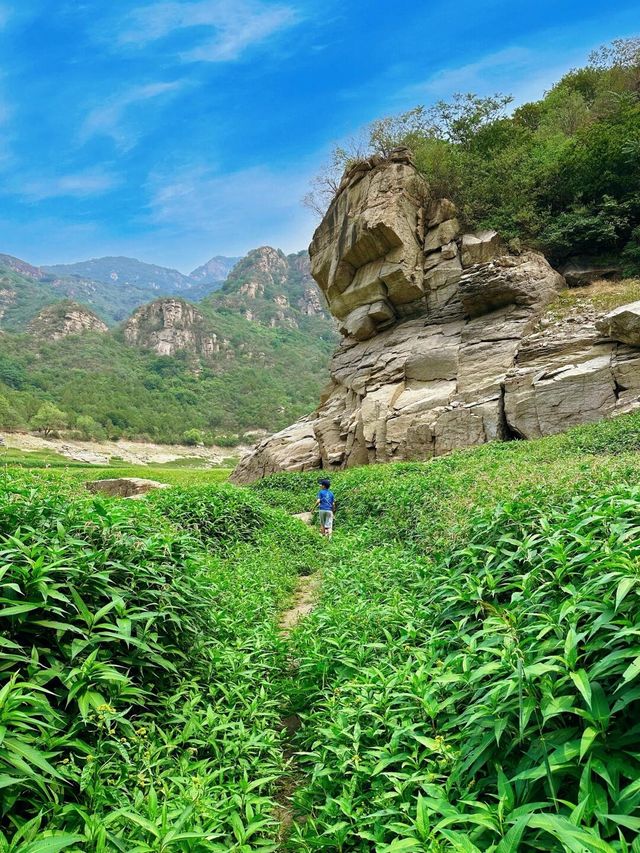 北京出發1.5h喺懷柔春山裡露營去！