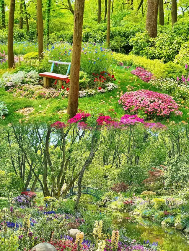 "The Shanghai Bund Light Show, I captured a budget travel masterpiece worth 1 billion!"