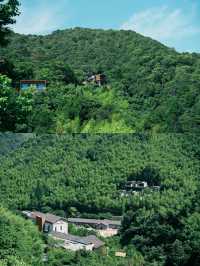 寧海安嵐·夏日限定親子遊玩