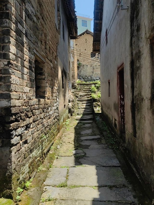 湖南宜章林家排古村