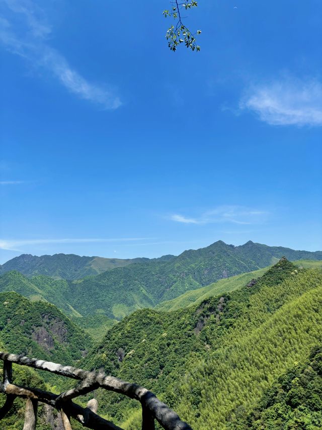 一山一藥王，一景一傳奇——藥王山深度體驗