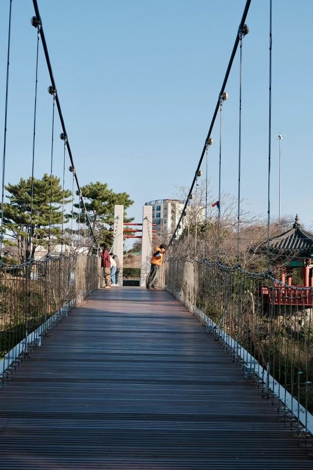 濟州島 承包果凍海的夏天！免簽玩到爽攻略