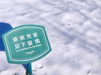 East Lake (东湖) / Dongli Lake Area
