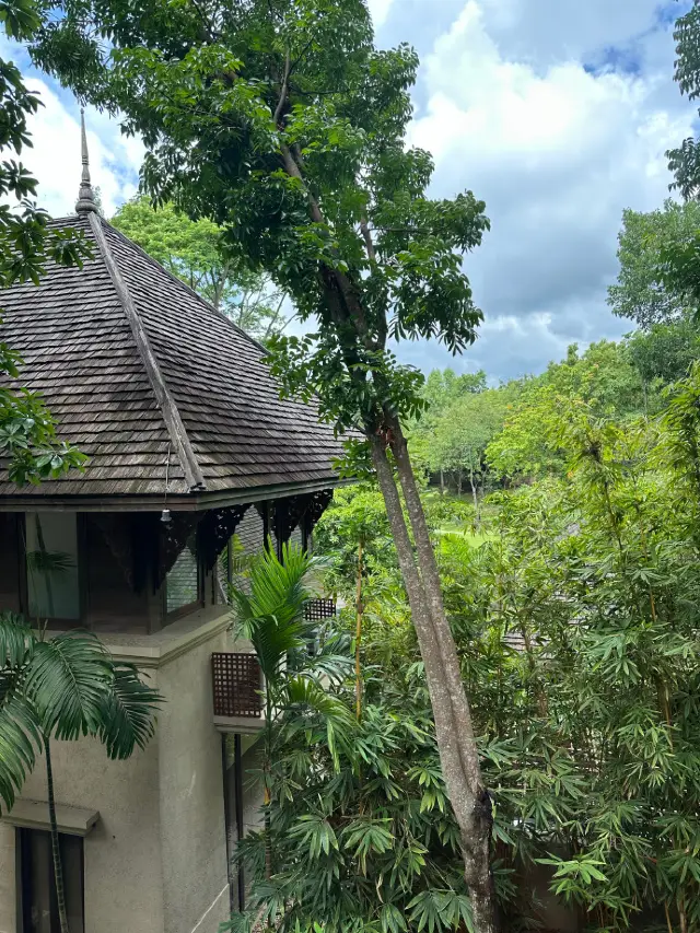 【Chiang Mai Guide: Exploring the Unique Charm of Thailand's Ancient Northern City】