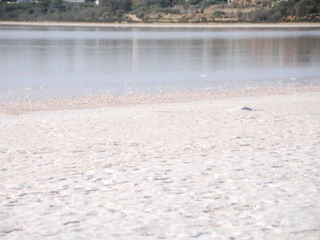 塞浦路斯拉納卡鹽湖