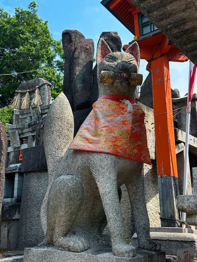 暑假推薦！京都奈良親子遊，餵小鹿坐火車
