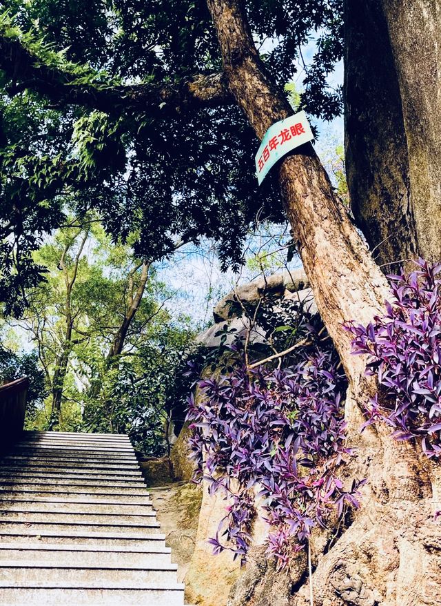 漳州雲蓋寺：天工雕琢的夢幻之境