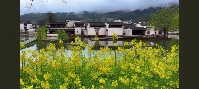 墨痕深處覓徽州  

踩著晨霧未散嘅青石板，我跌入咗徽州嘅水墨長卷裡。呢度嘅山、水、村落，都似係從硯台