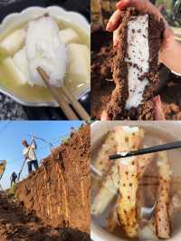 焦作特色美食攻略：舌尖上的懷川風情