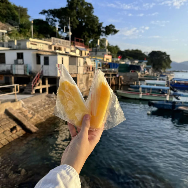 📍【塔門島｜帶定港紙同八達通先！】